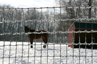 Enlarge photo 22