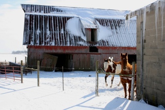Winter Photos