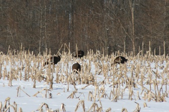 Enlarge photo 18