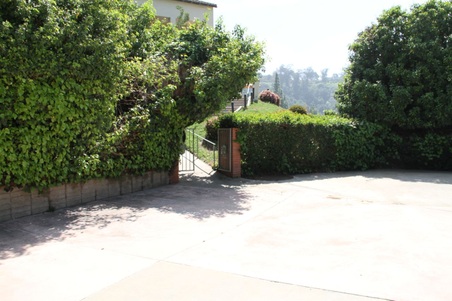 Enlarge photo 41