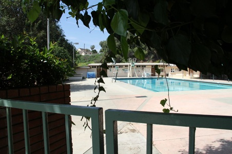 Enlarge photo 46