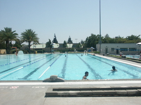 Enlarge photo 45