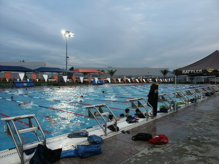 Enlarge photo 35