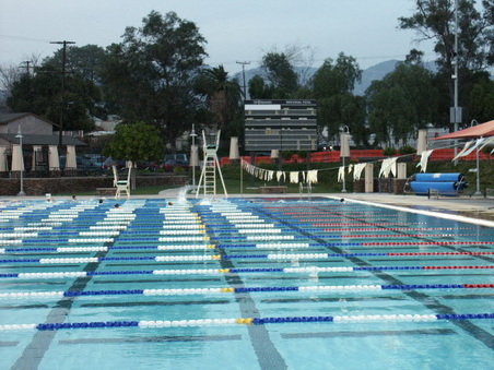 Enlarge photo 54