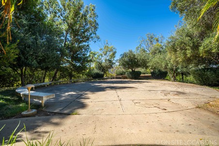 Enlarge photo 85