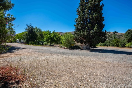 Enlarge photo 113