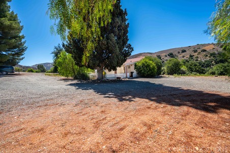 Enlarge photo 114