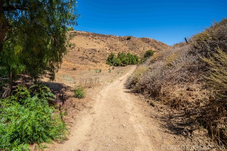 Enlarge photo 153