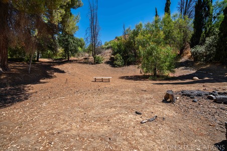 Enlarge photo 174