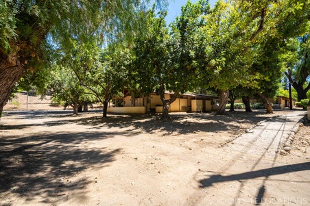Enlarge photo 231