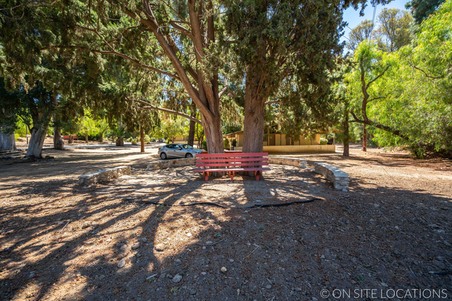 Enlarge photo 239