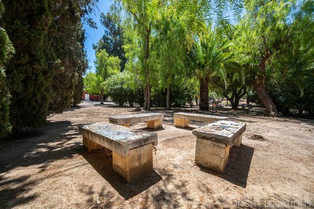 Enlarge photo 243