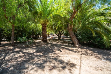 Enlarge photo 245