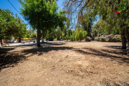 Enlarge photo 261