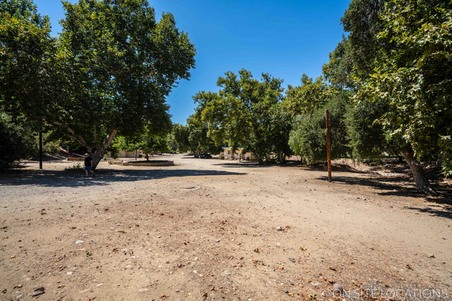 Enlarge photo 316