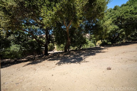 Enlarge photo 341