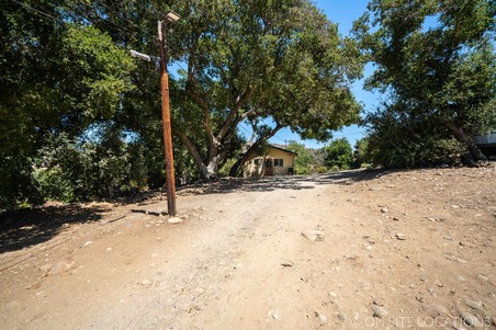 Enlarge photo 347