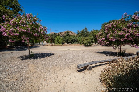 Enlarge photo 371