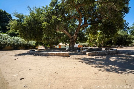 Enlarge photo 393