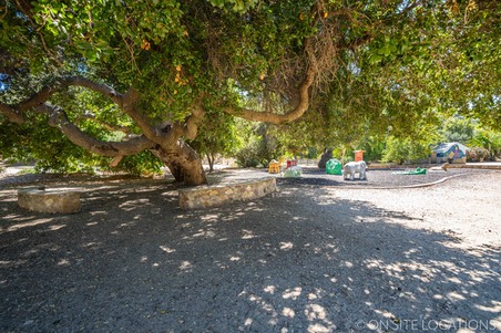Enlarge photo 416