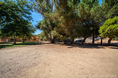 Enlarge photo 487