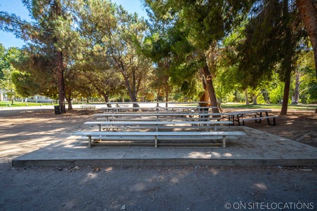 Enlarge photo 491