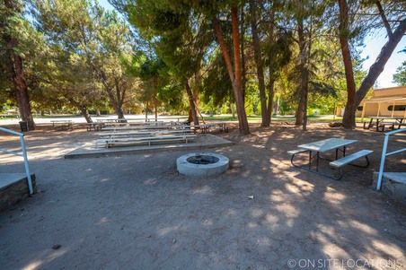 Enlarge photo 493