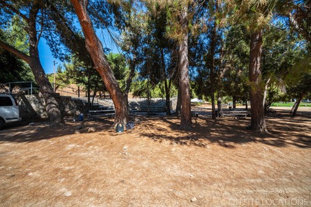 Enlarge photo 495