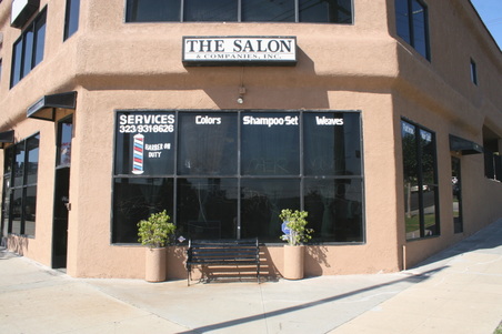 The Salon