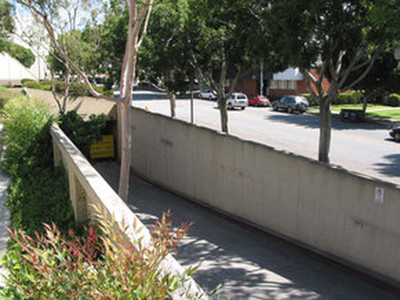 Enlarge photo 49