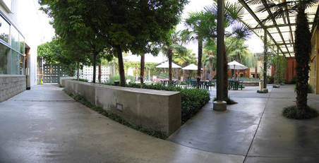 Enlarge photo 24