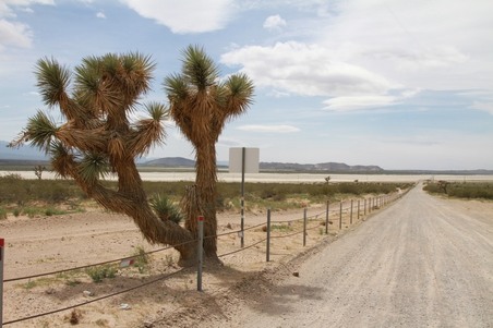 Deserts