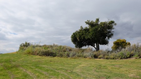Enlarge photo 14