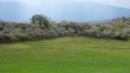Enlarge photo 30