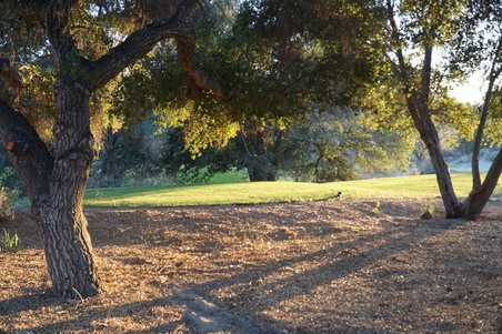 Enlarge photo 28