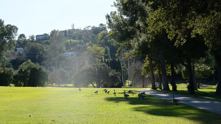 Enlarge photo 17