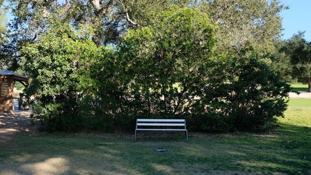 Enlarge photo 10