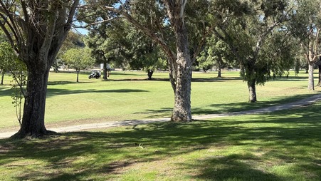 Enlarge photo 33