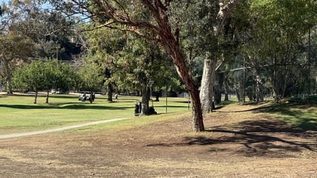 Enlarge photo 36