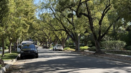 Enlarge photo 10