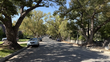 Enlarge photo 15