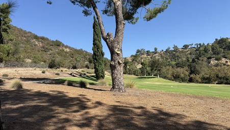 Enlarge photo 20