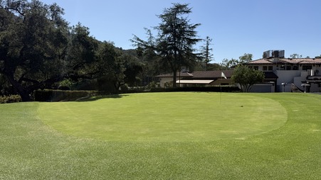 Enlarge photo 25