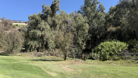 Enlarge photo 16