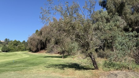 Enlarge photo 17