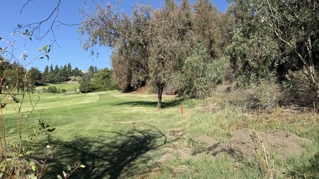 Enlarge photo 18