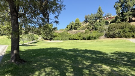 Enlarge photo 30