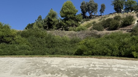 Enlarge photo 35