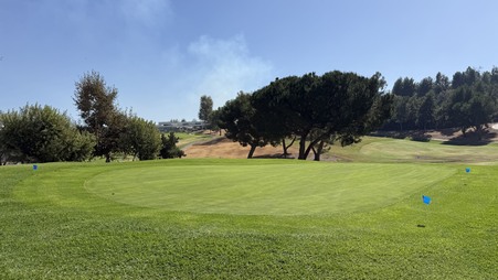 Enlarge photo 27