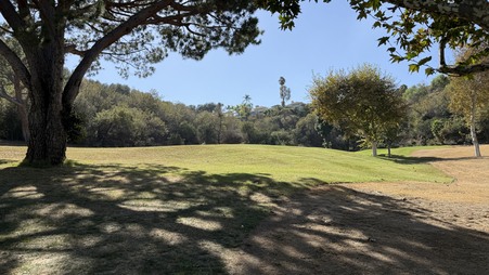 Enlarge photo 17
